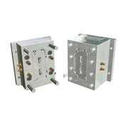 প্লাস্টিক ইনজেকশন ছাঁচনির্মাণ স্বয়ংচালিত অংশ